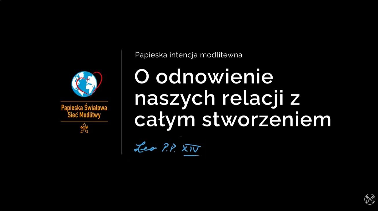 Papieska intencja na wrzesień: o odnowę relacji ze stworzeniem